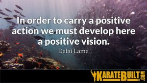 Dalai Lama on Vision