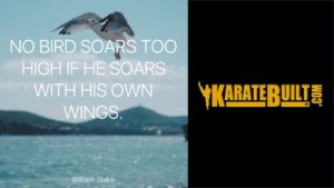 Soar on Own Wings
